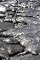 15 Old n new Copyright Villayat Sunkmanitu